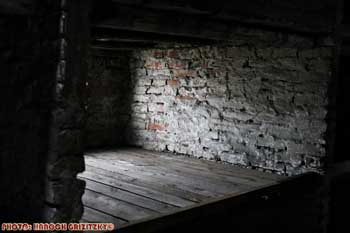 IMG_ (11535)